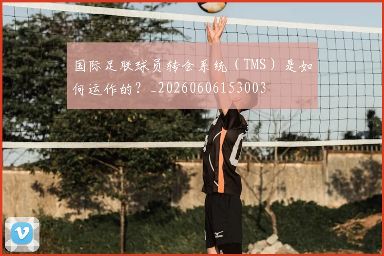 国际足联球员转会系统(TMS)是如何运作的?_20260606153003